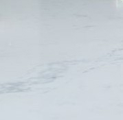 white carrara marble